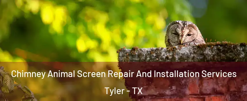  Chimney Animal Screen Repair And Installation Services Tyler - TX