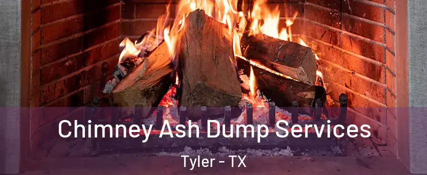  Chimney Ash Dump Services Tyler - TX