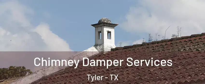  Chimney Damper Services Tyler - TX