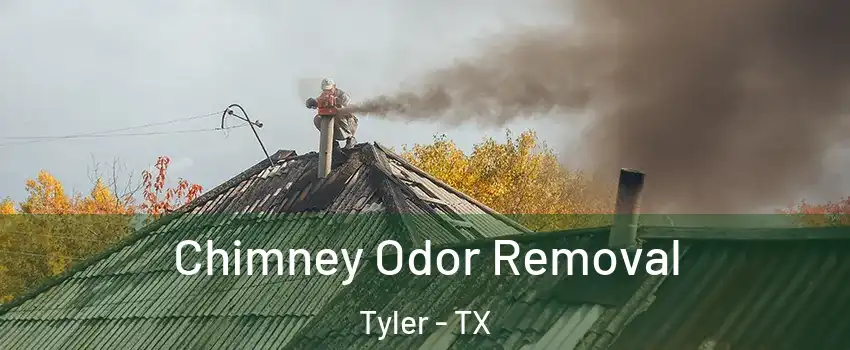  Chimney Odor Removal Tyler - TX