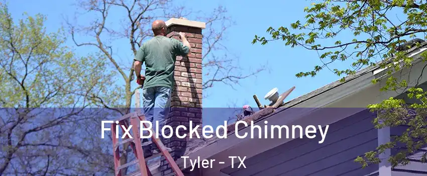  Fix Blocked Chimney Tyler - TX