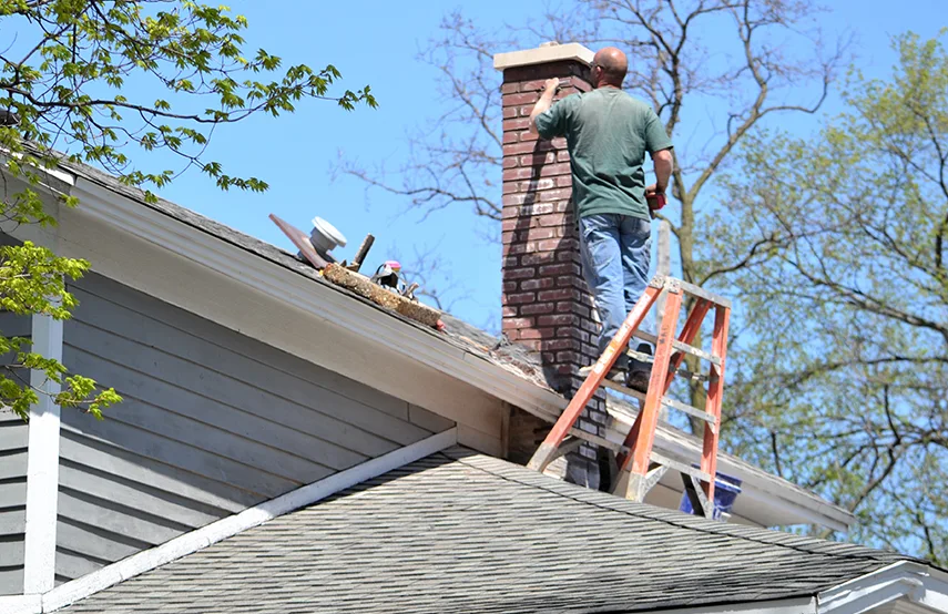 Chimney & Fireplace Inspections Services in Tyler, TX