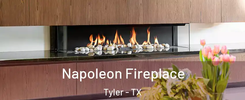  Napoleon Fireplace Tyler - TX